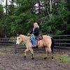 kaylieporter173